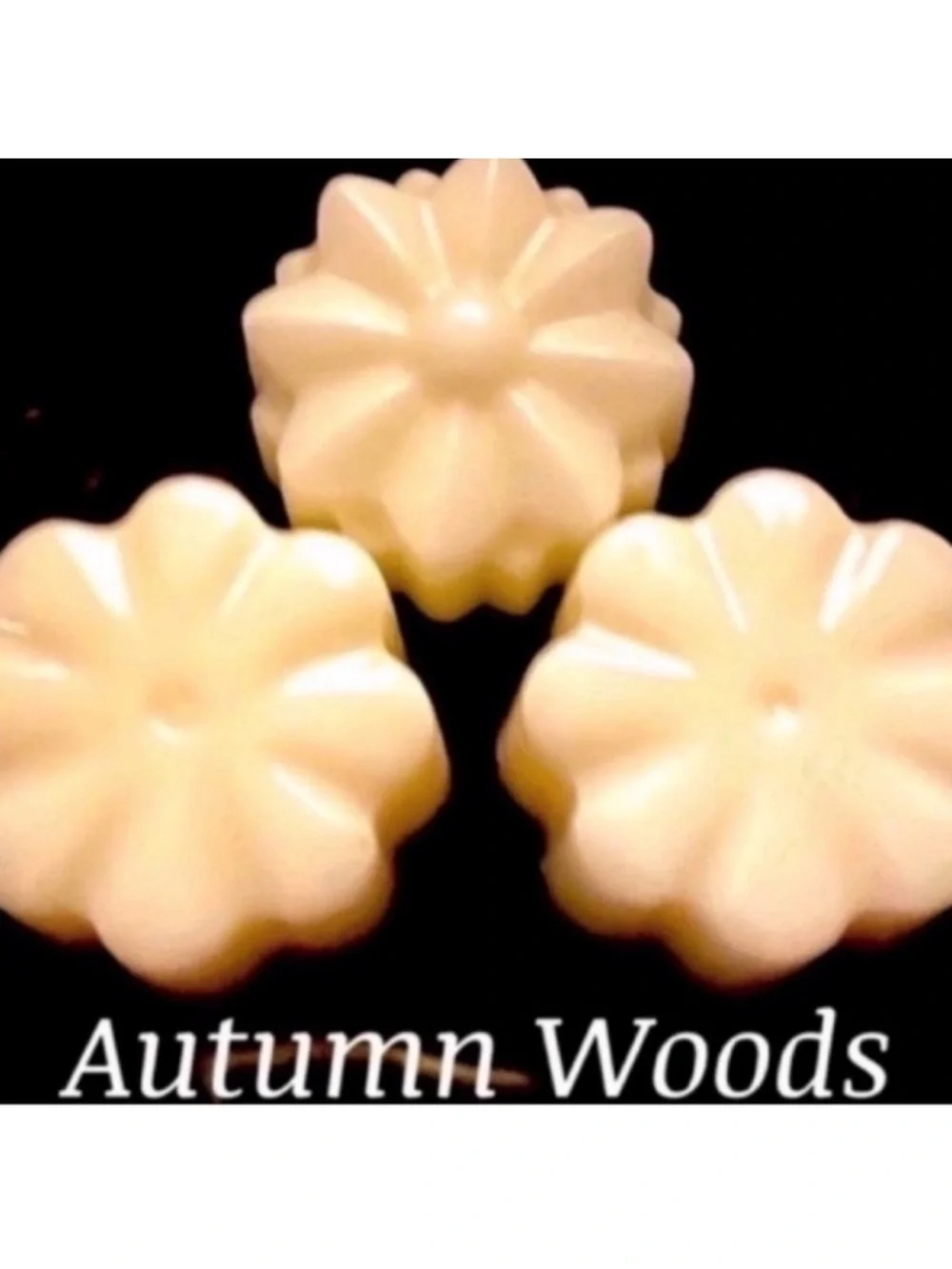 Bath and Body Works Candle Wax Melt Bundle - Picture 3 of 10